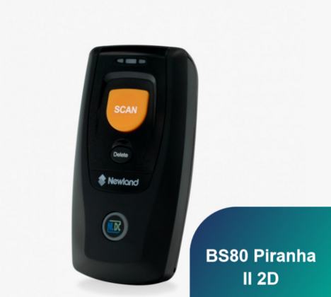 BS80 Piranha Newland 2D